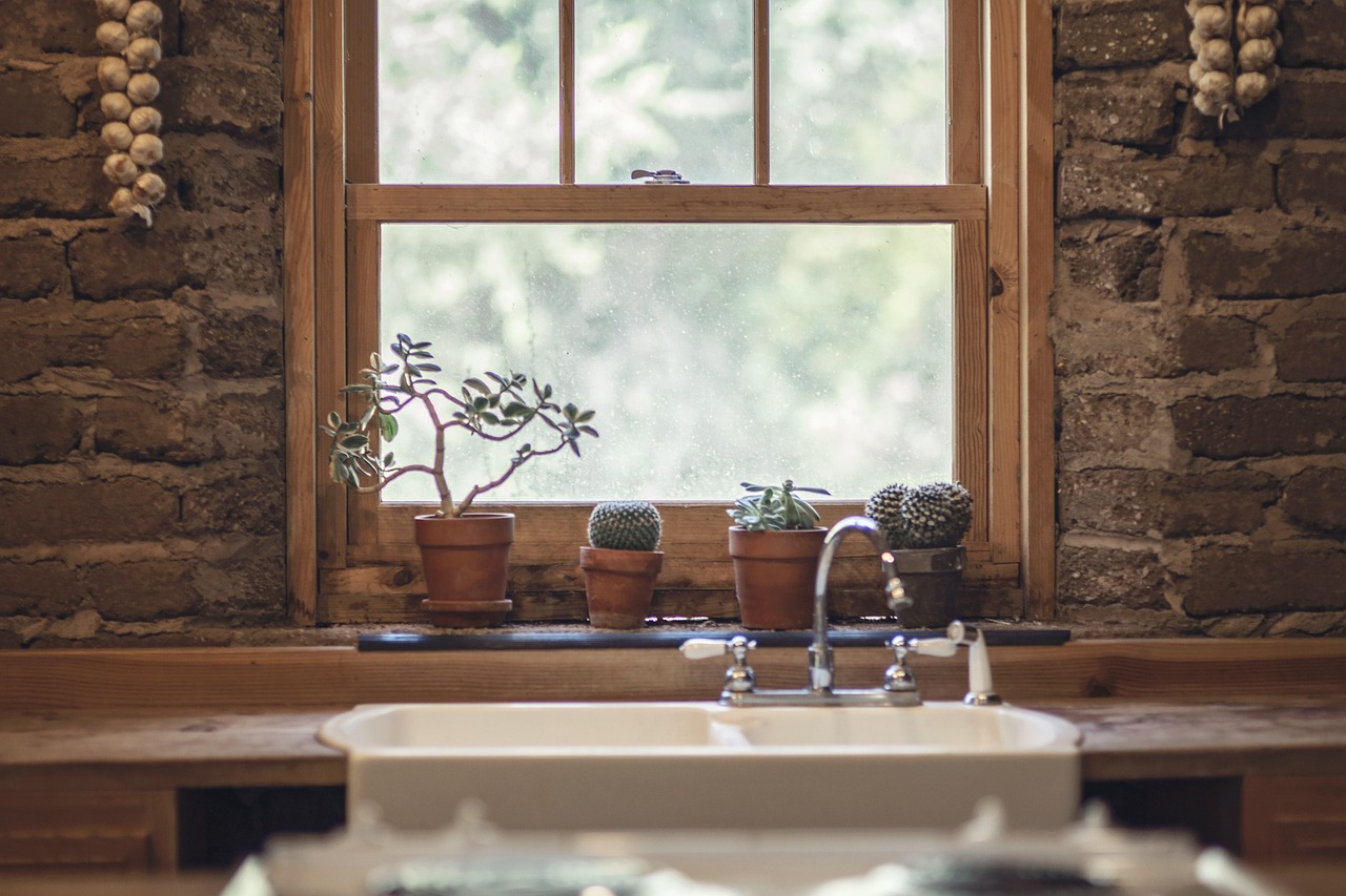 Garlic, cactus, window — A Complete Guide to Wall Panelling for Enhancing Living Rooms, Bedrooms, and Halls